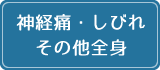 神経痛・しびれ･その他全身